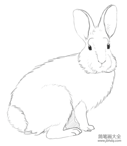 如何画小兔子