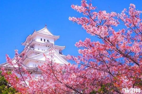 2020日本樱花季预测2020日本樱花最佳观赏地点推荐