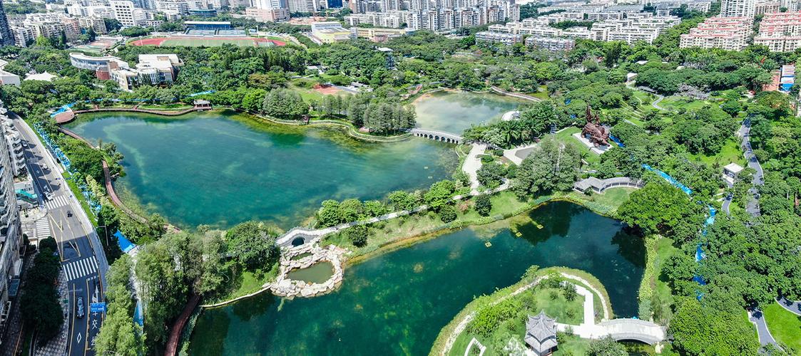 深圳南山区改造升级后的四海公园10月1日开园迎客_手机搜狐网
