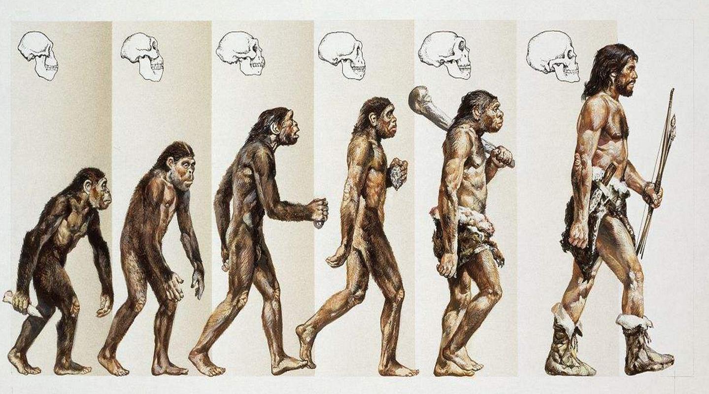人是进化来的那世界上第一个人类长啥样