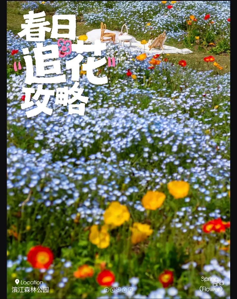 上海晚春花卉盘点!喜林草山坡正北97.