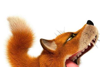 狐狸的牙齿图片