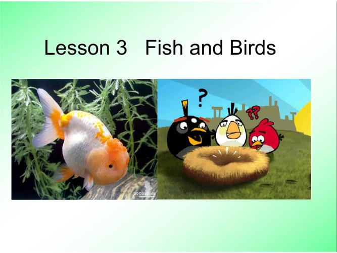 冀教版小学三年级下册英语课件:lesson 3 fish and birds(课件1).