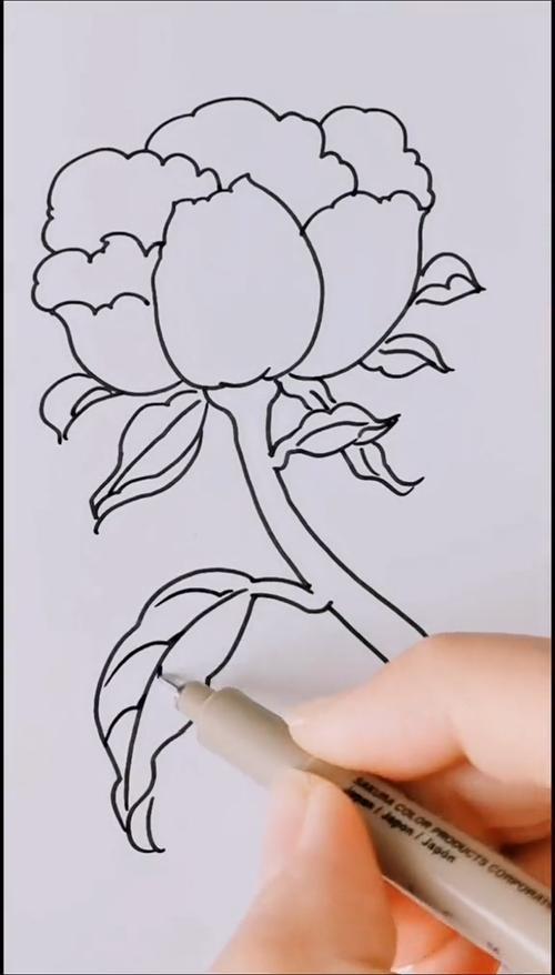 简笔画一朵漂亮的牡丹花