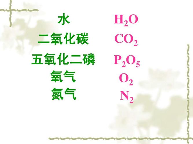 年级化学《化学式及其意义》课件 二 氧碳化 h o2c   opo25o2 n  2五