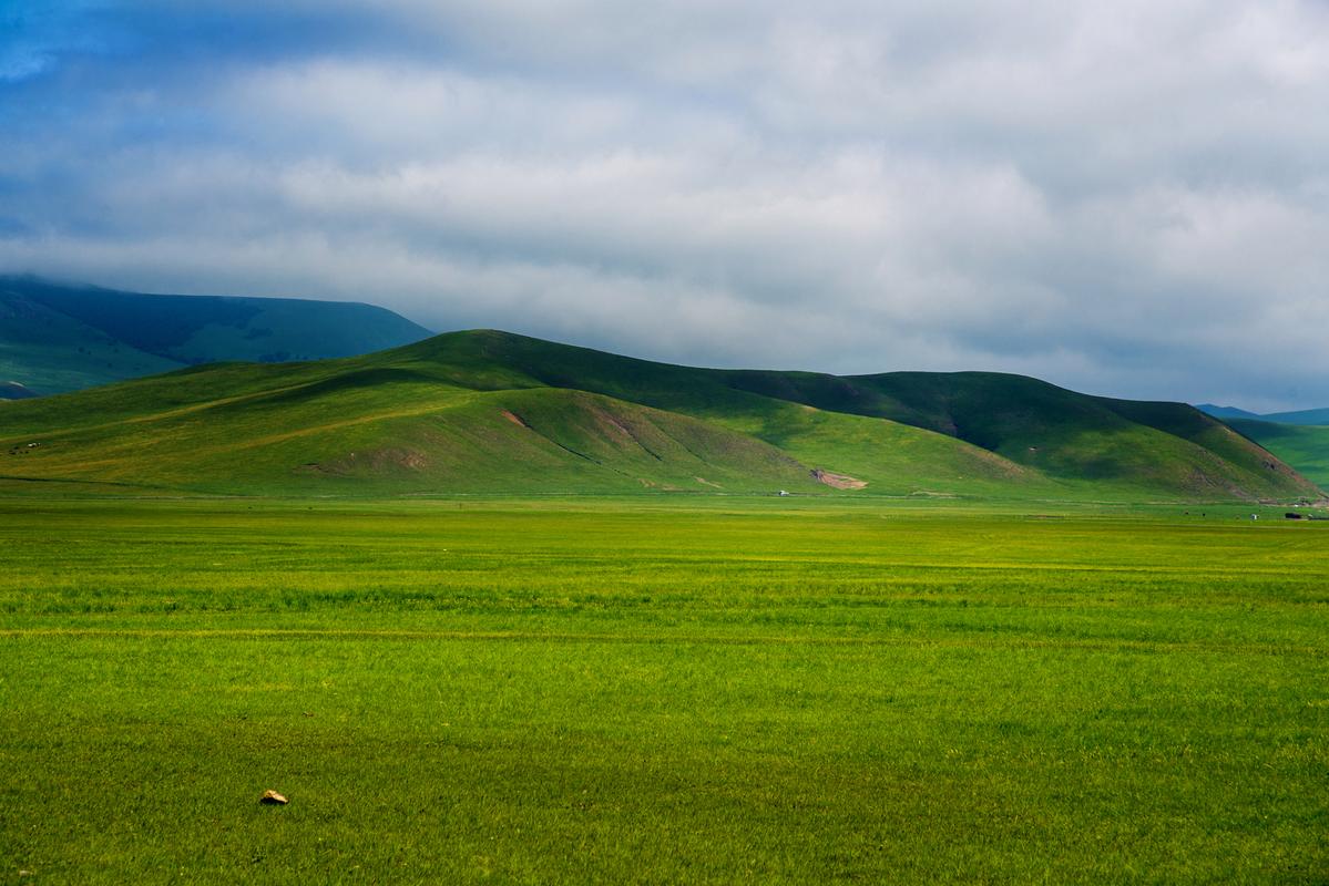 碧绿的草地延伸至天际,仿佛是大自然铺展的绿色毯子,远处的牛羊在茂盛