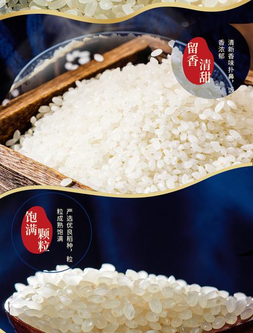 2021新米10kg江苏香米软香米5kg25kg特产农家香米珍珠米鲜米粳米香