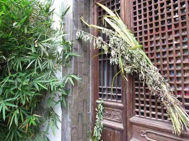 今天端午,你们家挂菖蒲艾草了吗?
