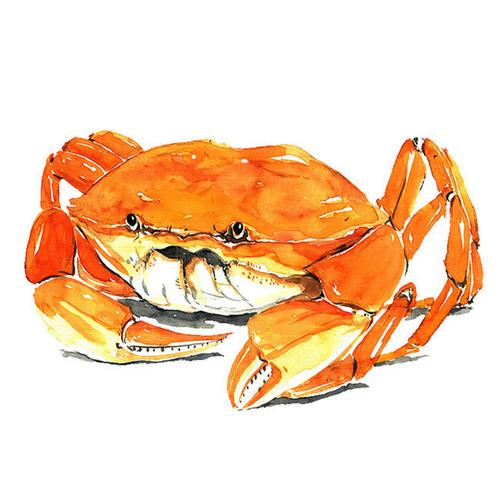 金黄色大闸蟹图片,主题为水彩大闸蟹,可用作手绘大闸蟹,海鲜图片,螃蟹