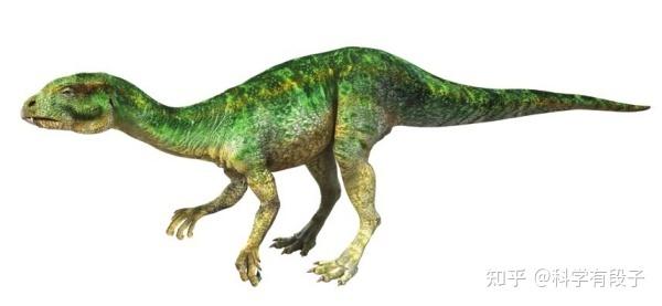 火山齿龙是种早期蜥脚下目恐龙,它是草食性恐龙,身长约6.