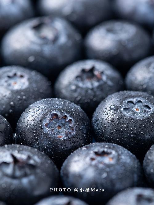 美食摄影|蓝莓的食物证件照(附场景布光图)