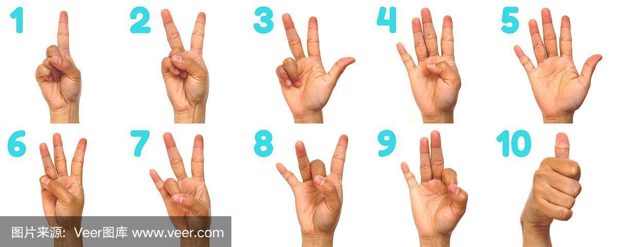 聋哑人用手语1-10号.美国手语中的手指拼写.白色背景上的手势数字.