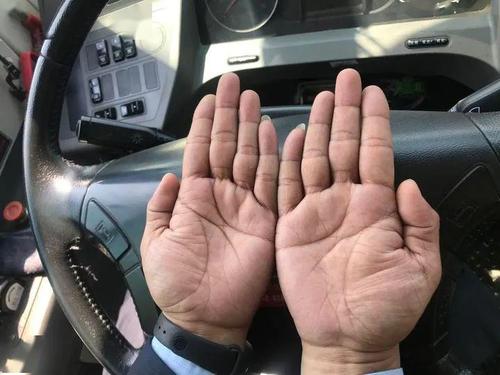 劳动者的手这双手握方向盘18年每天迎来送往一车车乘客