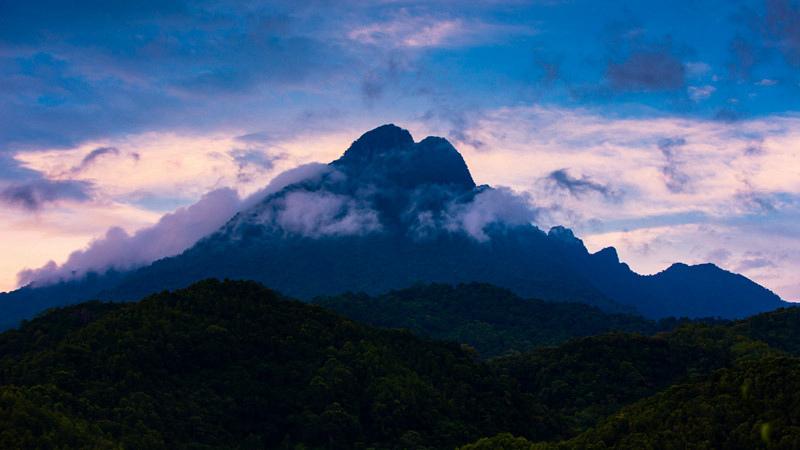 海南鹦哥岭自然保护区.海南国家热带雨林国家公园管理局供图