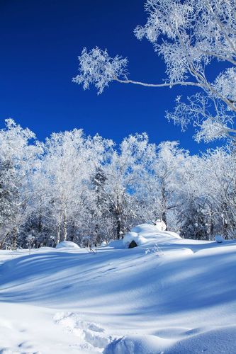 雪乡——冬天里的童话世界
