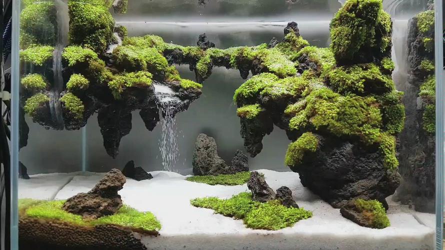 草缸造景.瀑布水景欣赏.火山石 moss的完美组合.