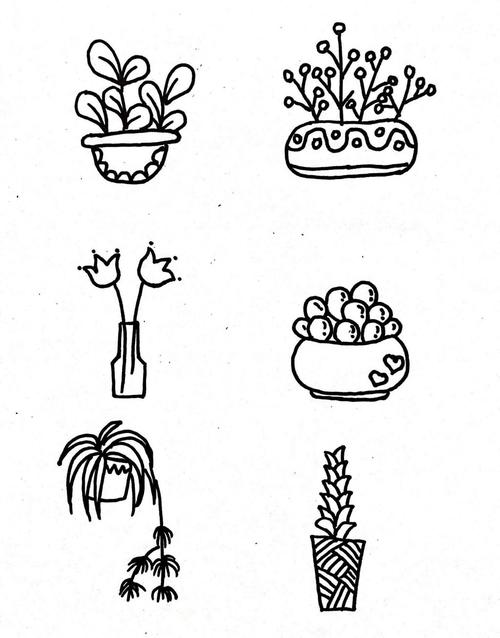 盆栽植物花盆简笔画,手抄报,手账都可以用! 67_植物插图