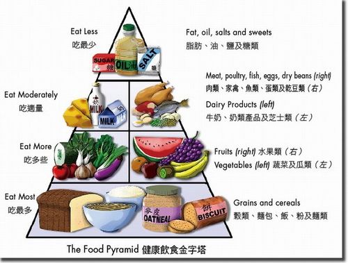 护理学基础第七章饮食与营养的ppt怎么做健康饮食金字塔会与时俱进地