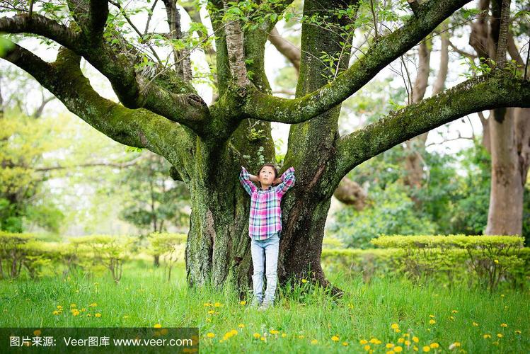 女孩倚在一棵大树上