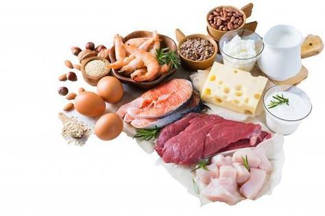 高蛋白低脂肪的食物有哪些?(高蛋白低脂肪的猫粮推荐)
