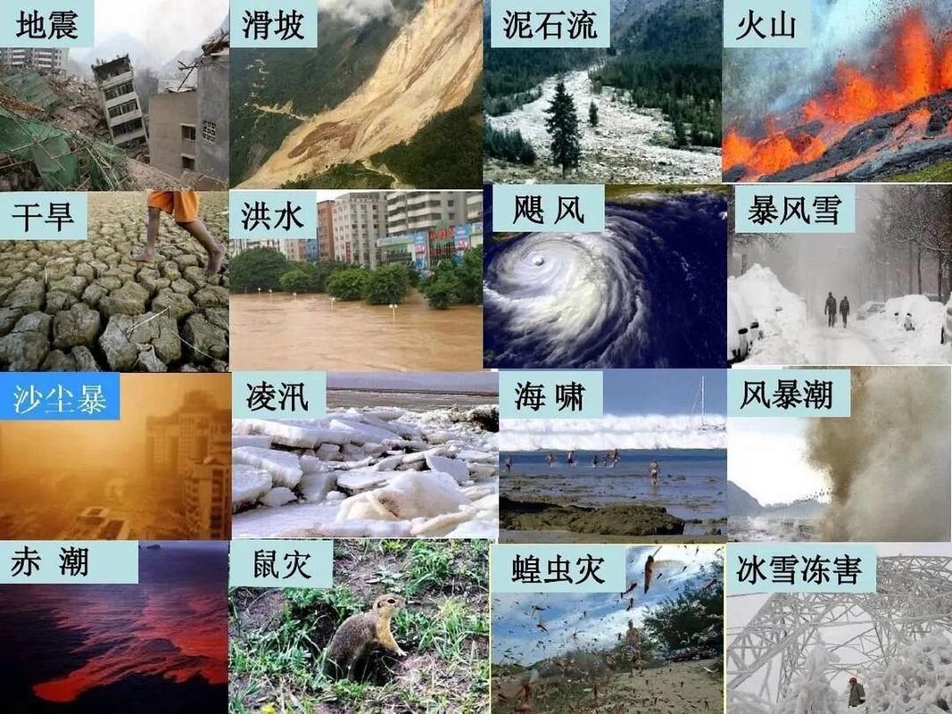 自然灾害成因的分析思路 (1)主要从自然原因(气候,地形,河流,植被