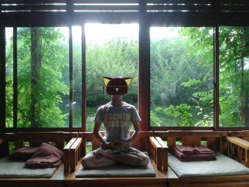 有哪些地方的禅寺可以请禅师指点迷津或学习参禅?