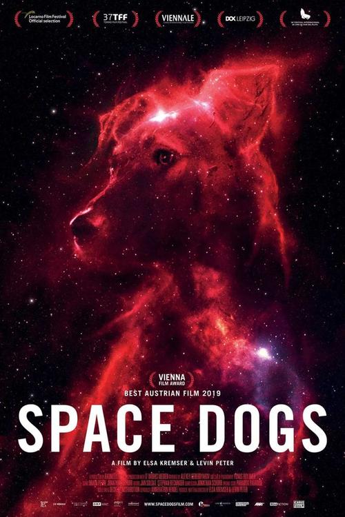 本期推荐:俄罗斯电影《太空狗》,探索了莫斯科街头流浪狗的过去和现在