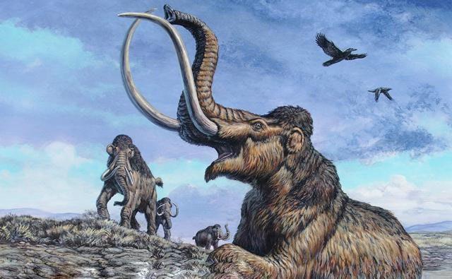 外形最恐怖的5大灭绝动物图1比科莫多巨蜥还要大四倍