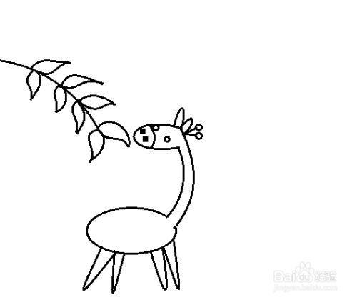 吃树叶的长颈鹿怎么画