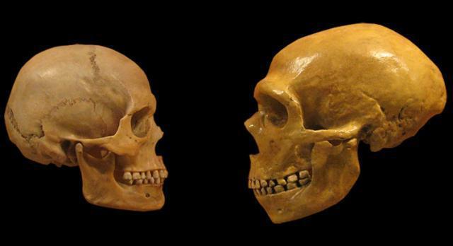 黄种人,黑人和白人地域相隔了几万年,为啥没有出现生殖隔离?