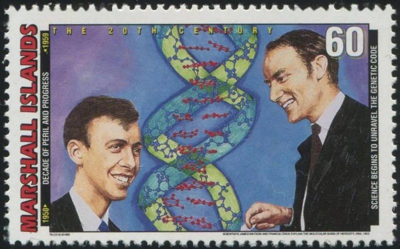 克里克,沃森和威尔金斯三人分享了1962年的诺贝尔生理学或医学奖