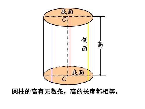 底面 o 侧 面 高 底面 o 圆柱的高有无数条,高的长度都相等.
