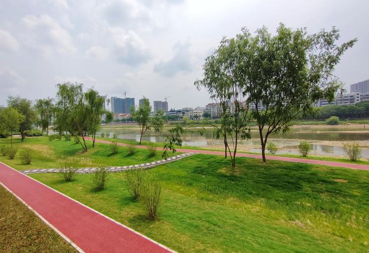 绵阳三江湖国家湿地公园内,饮马大桥南侧桥头段左岸湿地恢复项目.