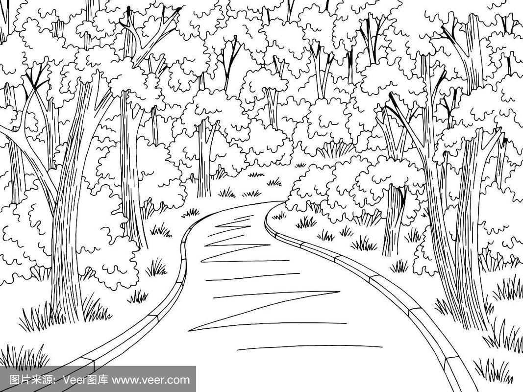 森林道路图形黑白景观素描插图矢量
