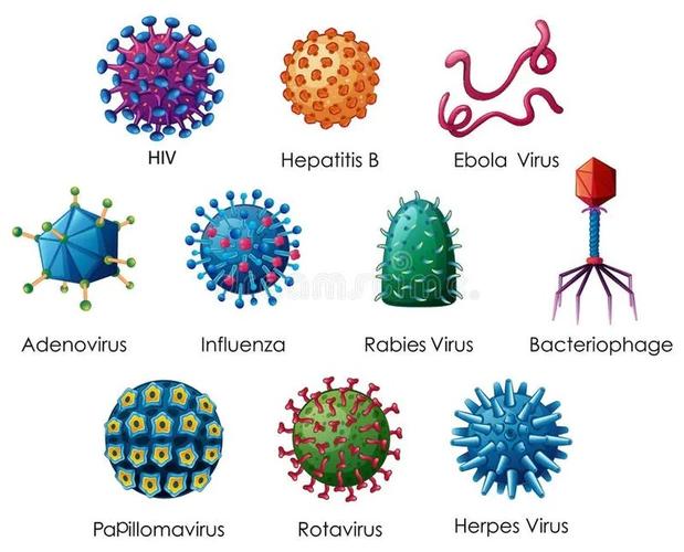 孩子们,我们先来看冠状病毒的形状吧.