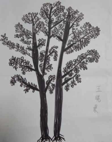 北环路小学 三年级一班 《树的写生》美术作业