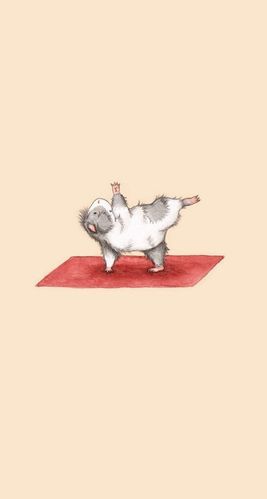 小仓鼠瑜伽插画图片
