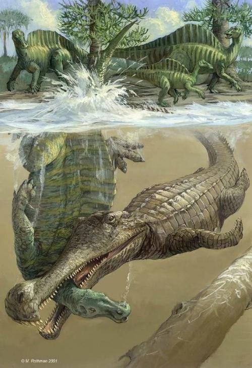 帝王肌鳄——已经灭绝的大型史前鳄鱼