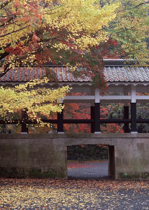 日式庭院和枫叶图片枫叶房子日式建筑庭院日式日本女性