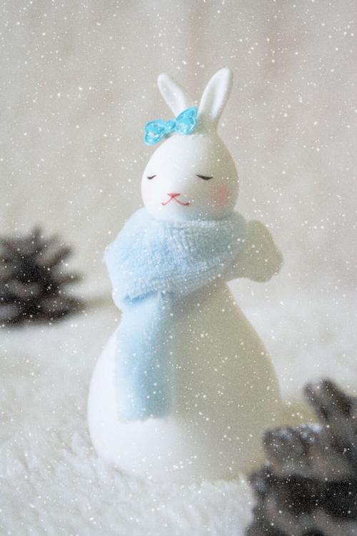 好纯美的兔子雪人粉嫩啊