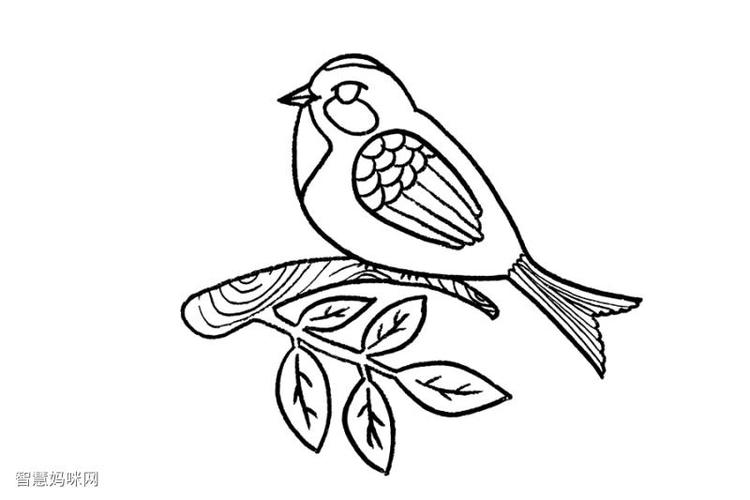 步骤5:给小鸟画完眼镜和身体的彩色斑块并在下方画出树枝.