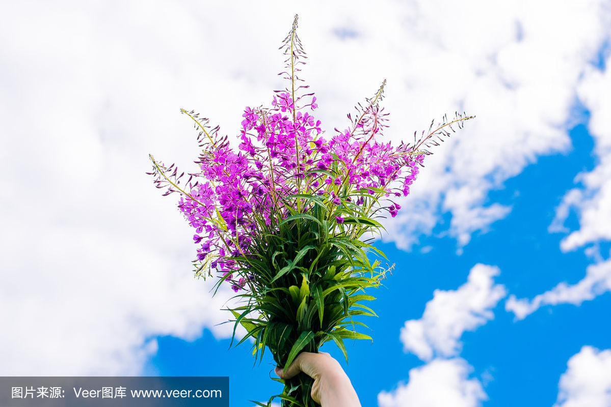 蓝天背景下,一个女孩手里捧着一束紫色的花.夏日鲜花作为礼物.