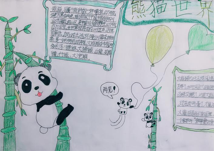国宝大熊猫中国手抄报保护国宝大熊猫吃竹子动物小报手抄报电国宝大