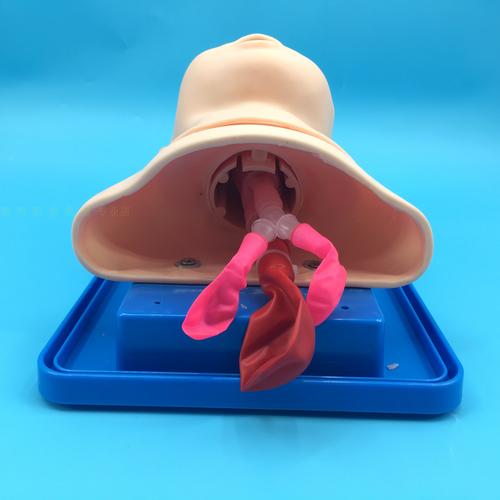 婴儿j10全功能气管插管训练急救护理梗塞模拟其他模型玩具