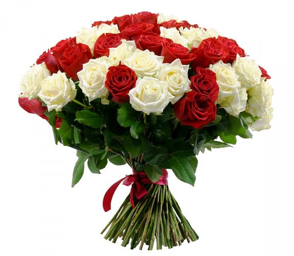 花束,玫瑰,白色背景,花卉,照片,2208x1920