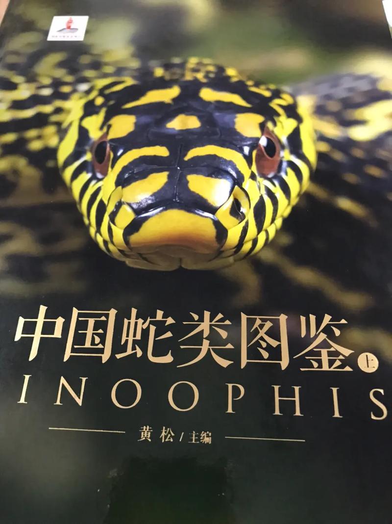 新书《中国蛇类图鉴》,儿子请老子斧正.#黄山蛇园 #传承文化 - 抖音