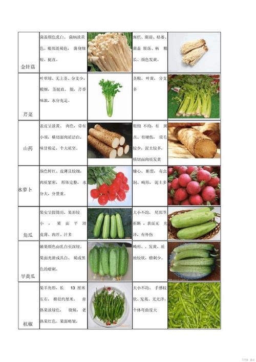 60种常见蔬菜收货验收标准_网易订阅