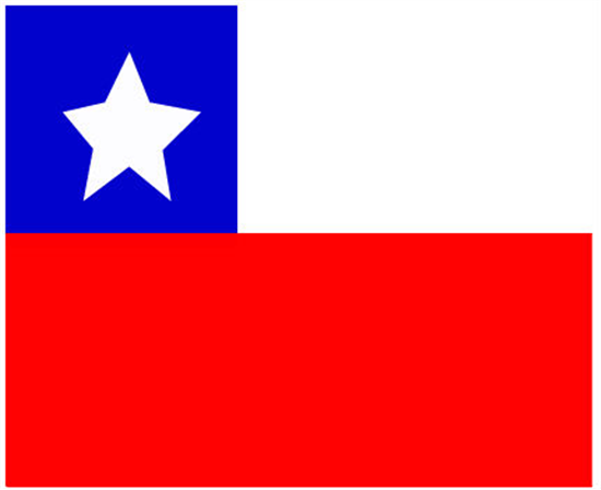                   智利国旗