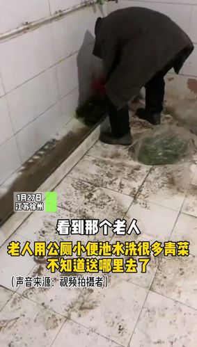 恶心!徐州一老人在公厕小便池里洗青菜