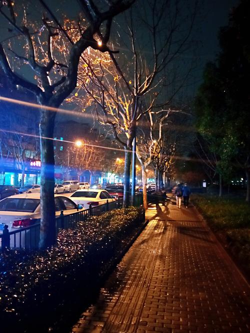 上海夜晚雨后的街道